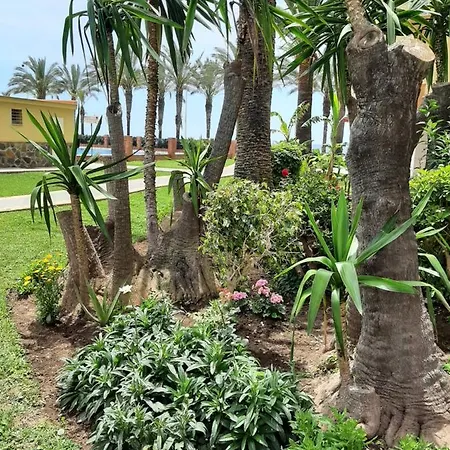 Apartment Palmenstrand Algarrobo Costa